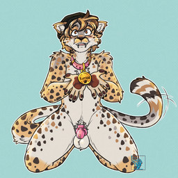 animal_genitalia animal_penis anthro balls bdsm beanie blush blush_lines body_hair chastity_cage chastity_device chest_tuft clothing collar collar_tag ear_piercing facial_piercing femboy fur genitals hand_pawpads happy_trail hat headgear headwear kneeling lip_piercing lip_ring lips looking_at_viewer looking_up male markings motion_lines nude paws penis piercing pink_chastity_cage ring_piercing sheath simple_background smile solid_chastity_cage solo spots spotted_body spotted_fur submissive submissive_anthro submissive_male tail tail_motion tailwag tuft unsupported_chastity_cage wearing_chastity_cage wearing_chastity_device whiskers conditional_dnp electroporn cheetah felid feline mammal 1:1 digital_media_(artwork) hi_res sketch