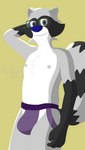 anthro brown_eyes clothed clothing eyewear fur glasses grey_body grey_fur hair jockstrap looking_at_viewer male markings nipples purple_clothing ring_(marking) ringed_tail simple_background smile solo striped_markings striped_tail stripes tail tail_markings underwear roquemapache_(artist) roquemapache mammal procyonid raccoon 9:16 absurd_res digital_media_(artwork) hi_res shaded signature