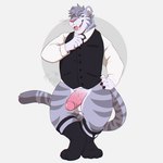 anthro balls blue_eyes bottomless claws clothed clothing erection footwear fur genitals grey_body grey_fur grey_hair hair hand_on_hip humanoid_genitalia humanoid_penis male open_mouth penis shirt socks solo standing striped_body striped_fur stripes suit_vest topwear whiskers toddnet justin_(ieaden) felid mammal pantherine tiger 1:1 absurd_res hi_res