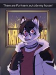 anthro black_hair claws clothed clothing collar fingers fur hair male solo spiked_collar spikes text white_body white_fur bastionshadowpaw there_are_federal_agents_outside_my_house toshi_(bastionshadowpaw) canid canine fox mammal 3:4 english_text hi_res meme nonbinary_(lore)