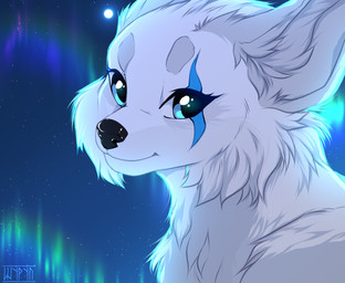 ambiguous_gender aurora_(phenomenon) black_nose blue_eyes cheek_tuft facial_markings facial_tuft feral fluffy fur grey_body grey_fur grey_inner_ear head_markings looking_at_viewer markings moon night smile smiling_at_viewer solo star text tuft white_body white_fur shyryp canid canine canis mammal wolf absurd_res digital_media_(artwork) english_text hi_res portrait