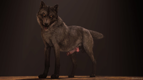 4_toes amber_eyes anatomically_correct animal_genitalia animal_penis balls black_nose canine_genitalia canine_penis claws erection feet feral fur genitals grey_body grey_fur knot knot_root knotted_penis looking_at_viewer male open_mouth penis realistic_feral scar sheath simple_background solo tail toe_claws toes tongue tongue_out blodrain canid canine canis mammal wolf 16:9 3d_(artwork) 4k absurd_res digital_media_(artwork) hi_res source_filmmaker_(artwork) widescreen