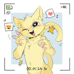 ambiguous_anthro ambiguous_gender anthro battery_life biped chest_tuft front_view fur fur_tuft gesture hand_gesture handpaw heart_in_pupils heart_reaction monotone_body monotone_fur nude nude_ambiguous nude_anthro one_eye_closed open_mouth open_smile paws pose recording_video simple_background slim slim_ambiguous slim_anthro smile solo sparkles timer tuft v_sign white_background wink yellow_body yellow_fur vitame83 domestic_cat felid feline felis mammal 1:1 2025 digital_drawing_(artwork) digital_media_(artwork) flat_colors hi_res pictographics