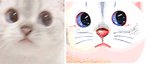 ambiguous_form ambiguous_gender blinking close-up comparison face_closeup front_view fur looking_aside pink_nose solo whiskers white_body white_fur keke_(artist) domestic_cat felid feline felis mammal 7:3 animated frame_by_frame photography_(artwork) redraw reference_image short_playtime