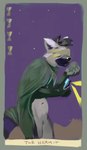 anthro biped black_body black_fur black_hair black_inner_ear black_nose black_tail cape card card_template cellphone clothing electronics featureless_crotch fortune_telling fur glistening glistening_nose green_body green_cape green_clothing green_fur grey_body grey_fur hair holding_cellphone holding_object holding_phone holding_smartphone major_arcana male markings multicolored_body multicolored_fur navel phone short_hair smartphone solo standing striped_markings striped_tail stripes tail tail_markings tarot tarot_card the_hermit_(tarot) white_body white_ears white_fur oselotti skyler_ringtail lemur mammal primate ring-tailed_lemur strepsirrhine hi_res portrait three-quarter_portrait