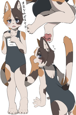 4_toes anthro barefoot blep blue_eyes blush bodily_fluids bulge butt claws clothed clothed_anthro clothed_male clothing crossdressing crossdressing_male cute_fangs fangs feet femboy fur hair kemono looking_at_viewer male male_anthro multicolored_body multicolored_fur multicolored_hair one-piece_swimsuit open_mouth pawpads paws school_swimsuit short_hair simple_background solo sweat sweatdrop swimwear tail teeth text toe_claws toes tongue tongue_out white_background aya_tsuji calico_cat domestic_cat felid feline felis mammal 2025 absurd_res digital_media_(artwork) hi_res japanese_text multiple_images translated