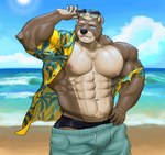 5_fingers abs aloha_shirt anthro areola armpit_hair beach biceps black_clothing black_nose black_speedo black_swimwear blue_bottomwear blue_clothing blue_shorts body_hair bottomwear brown_body brown_claws brown_fur chest_hair chest_tuft claws clothed clothing cloud detailed_background eyebrows eyewear fingers fur glasses green_eyes hair hand_on_hip happy_trail male muscular muscular_anthro muscular_male navel nipples one_eye_closed open_clothing open_shirt open_topwear outside pattern_clothing pattern_shirt pattern_topwear pecs pink_areola pink_nipples pubes sand seaside shirt shorts sky smile solo speedo standing sun sunglasses swimwear teeth topwear tuft water white_body white_eyebrows white_fur white_hair wink matchykiwaii bear mammal absurd_res digital_media_(artwork) hi_res