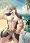 abs anthro athletic beach biceps big_muscles biped black_body black_fur blue_eyes bulge claws clothed clothing detailed_background dog_tags fangs fur grin hair looking_at_viewer male muscular muscular_anthro muscular_male outside pawpads paws pecs pose sand sea seaside sky smile solo speedo standing swimwear tail teeth tongue topless underwear water white_body white_fur soddy discordnight mammal sergal