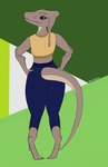 anthro bottomwear butt clothing female looking_at_viewer looking_back mr.chair pants pinwheel_(snekguy) smile snekguy solo tail valbaran yoga_pants