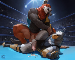 anal anal_penetration anthro avian_feet balls beak bodily_fluids clothing crowd cum cum_in_ass cum_inside cum_while_penetrated detailed_background duo duo_focus ejaculation erection exhibitionism fighting_ring fingerless_gloves footwear foreskin furgonomics genital_fluids genitals gloves group handwear humanoid_genitalia humanoid_penis male male/male muscular muscular_anthro muscular_male penetration penile penile_penetration penis penis_in_ass pinned shirt tank_top toeless_footwear topwear vein veiny_penis wrestling_singlet tagonkrat iolar_(musingfor) levante_(enlas) accipitrid accipitriform avian bearded_vulture bird eagle old_world_vulture vulture absurd_res hi_res