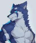 biceps blue_eyes countershading fur hair male muscular muscular_male pecs solo ty_arashi canid canine mammal 5:6 absurd_res hi_res