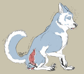 anatomically_correct animal_dildo animal_genitalia animal_sex_toy animal_vulva big_dildo bodily_fluids bubble canine_dildo canine_genitalia canine_vulva curling_toes dildo dildo_sitting dripping drunk drunk_bubble eyes_closed feet female feral fur genital_fluids genitals internal knot knotted_dildo knotting looking_pleasured masturbation penetration sex_toy shaking simple_background solo substance_intoxication toying_self trembling vaginal vaginal_fluids vaginal_masturbation vaginal_penetration vulva wet koosh-ball canid canine canis domestic_dog mammal 2019