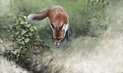 black_legs black_markings black_nose dipstick_tail feral fur grass markings nature orange_body orange_fur outside plant quadruped solo tail tail_markings white_tail_tip white_underside renum63 canid canine fox mammal 2014 artrage_(artwork) digital_media_(artwork) digital_painting_(artwork) painting_(artwork)