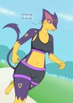 anthro anthrofied bra clothed clothing female jogging_pants park pokemorph solo sports_bra tail text underwear commandg nintendo pokemon generation_5_pokemon liepard pokemon_(species) absurd_res hi_res
