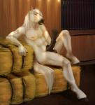 animal_genitalia animal_penis anthro balls equine_genitalia equine_penis erection fur genitals looking_at_viewer male nude penis presenting smile solo white_body white_fur miraoff riche equid equine horse mammal 2017 absurd_res digital_media_(artwork) hi_res