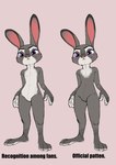 anthro blush bodily_fluids canon_conforming_body_shape comparison embarrassed featureless_crotch female flat_chested frown fur grey_body grey_fur on_model purple_eyes simple_background solo standing sweat sweatdrop text the_truth thick_thighs white_body white_fur zigrock001 disney zootopia judy_hopps european_rabbit lagomorph leporid mammal oryctolagus rabbit 2024 english_text hi_res model_sheet