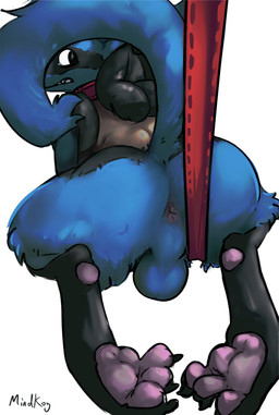 anthro anus backsack balls butt claws collar curling_toes feet genitals hindpaw leash leash_pull looking_at_viewer looking_back male nude pawpads paws perineum raised_tail rear_view simple_background solo tail toe_claws white_background mindkog nintendo pokemon generation_4_pokemon lucario pokemon_(species) absurd_res hi_res