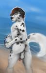 anthro backsack ball balls beach beach_ball black_body black_fur black_spots fur genitals hair inflatable male markings outside public sand seaside solo spots spotted_body spotted_fur water white_body white_fur ulven-f diara canid canine canis dalmatian domestic_dog mammal 2018