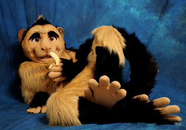 anthro banana biped clothing costume food fruit fursuit looking_at_viewer lying male orange_eyes paws plant pose real solo media_(artist) haplorhine mammal monkey primate grandfathered_content