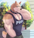 anthro biceps black_nose bottomwear clothed clothing collar fur male multicolored_body multicolored_fur muscular muscular_anthro muscular_male pants shirt simple_background solo tank_top topwear naikuma canid canine canis domestic_dog mammal 2020 hi_res