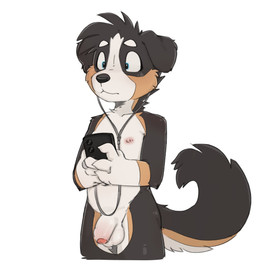 anthro balls big_balls big_penis blue_eyes cable casual_nudity curved_tail electronics exposed_glans eyebrows flaccid foreskin fur genitals glans headphones holding_object holding_phone humanoid_genitalia humanoid_penis male multicolored_body multicolored_fur nipples partially_retracted_foreskin penis phone simple_background solo tail young taro_bubbletea canid canine canis domestic_dog mammal hi_res