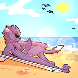 anthro balls beach big_balls big_penis chest_tuft erection eyewear eyewear_only fur genitals humanoid_genitalia humanoid_penis male nude penis pubes purple_body purple_fur sand seashell seaside shell solo sun sunglasses sunglasses_only tuft water xing1 vince_(fizuth) felid feline mammal 1:1 absurd_res hi_res