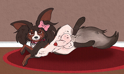 accessory animal_genitalia animal_penis balls big_balls bow_ribbon canine_genitalia canine_penis collar femboy feral genitals hair_accessory hair_bow hair_ribbon licking licking_lips lipsticking male penis presenting_balls presenting_sheath ribbons sheath small_but_hung solo tongue tongue_out shockinglylazy coconut_(cokotheschnoot) canid canine canis chihuahua domestic_dog mammal mixed_breed papillon toy_dog hi_res