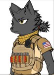 accessory american_flag ammunition anthro black_body black_fur black_nose bulletproof_vest clothing female flag flag_print fur hair_accessory hairband military_uniform mouth_closed national_flags simple_background solo standing uniform united_states_of_america yellow_eyes unknown_artist bad_2_bad bagheera_hook felid feline mammal hi_res