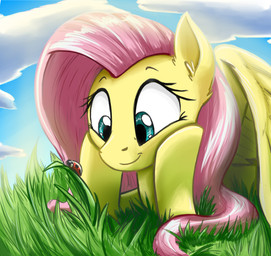 2015 arthropod cute equine female feral fluttershy_(mlp) friendship_is_magic insect ladybug mammal my_little_pony otakuap pegasus smile wings
Rating: Safe
Score: 16
User: Robinebra
Date: February 22, 2015 2015 arthropod cute equine female feral fluttershy_(mlp) friendship_is_magic insect ladybug mammal my_little_pony otakuap pegasus smile wings
Rating: Safe
Score: 16
User: Robinebra
Date: February 22, 2015