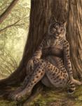 anthro biped blue_eyes bottomless bra claws clothed clothing detailed_fur female fur grass leaf looking_at_viewer plant sitting smile solo toe_claws tree underwear rukis red_lantern_universe shivah felid feline lynx mammal 2017 detailed