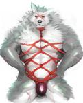 abs amber_eyes anthro bdsm biceps bondage bound bulge clothed clothing harness looking_at_viewer male muscular muscular_anthro muscular_male muscular_sub pecs restraints rope rope_bondage rope_harness scar skimpy solo speedo submissive swimwear topless underwear iceman1984 sega shining_(sega) shining_force shining_wind rouen_(shining) canid canine canis mammal wolf