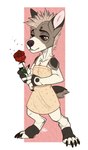 anthro black_claws bottomwear brown_body brown_eyes brown_fur chest_tuft chibi claws clothed clothing female flower fur glistening glistening_eyes glistening_hair hair holding_flower holding_object holding_rose messy narrowed_eyes plant red_rose rose_(flower) short_hair simple_background skirt solo standing tan_hair tuft white_body white_fur yellow_bottomwear yellow_clothing yellow_skirt riorix canid canine canis domestic_dog mammal 2017 absurd_res dated full-length_portrait hi_res portrait signature