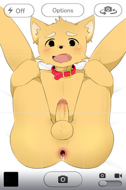 anthro anus balls biped blush bodily_fluids buckled_collar butt camera_view collar cute_fangs erection fangs foreskin genital_fluids genitals leaking legs_up lying male nude on_back open_mouth penis precum presenting retracted_foreskin simple_background solo teeth 久我 canid canine fox mammal 2:3 hi_res