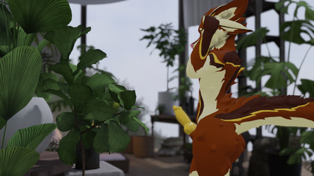 4_ears animal_genitalia animal_penis anthro big_butt big_ears big_knot big_penis butt canine_genital canine_genitalia canine_penis depth_of_field erect_tail erection fantasy femboy fur genitals houseplant huge_butt huge_penis inside knot knotted_penis male multi_ear nude nude_anthro one_eye_obstructed orange_body orange_fur penis raised_arm sheath solo standing tail thick_thighs unusual_anatomy unusual_genitalia unusual_penis wide_hips yellow_body yellow_fur yellow_penis canid canine deuzear fox mammal 16:9 3d_(artwork) digital_media_(artwork) hi_res widescreen