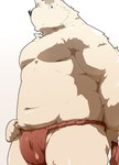 anthro asian_clothing belly big_belly black_nose bulge clothing east_asian_clothing fundoshi humanoid_hands japanese_clothing kemono male navel red_clothing red_fundoshi red_underwear simple_background slightly_chubby solo underwear white_background kisukemk777 canid canine canis domestic_dog mammal 2017 hi_res