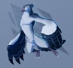 anthro balls beak erection feathers genitals humanoid_genitalia humanoid_penis male nude penis simple_background smile solo wings essence_of_rapture breath_of_the_wild nintendo the_legend_of_zelda fan_character vari_(yufuria) avian bird rito 2018 digital_media_(artwork) hi_res