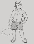 anthro biped bottomwear claws clothed clothing ear_piercing frown half-closed_eyes hand_on_hip looking_at_viewer male narrowed_eyes navel nipples paws piercing plantigrade shorts shorts_only slim solo tail toe_claws topless topless_male spyz_(artist) dust_(spyz) 2025 monochrome sketch watermark