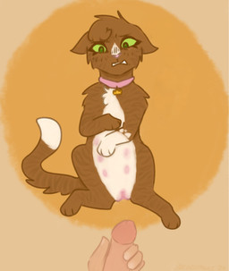 bestiality duo female feral human_on_feral interspecies male male/female masturbation nipples questionable_consent striped_body stripes breezepawlt warriors_(book_series) princess_(warriors) domestic_cat felid feline felis human mammal hi_res