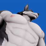 animated anthro canid canine canis first_person_view fur hi_res kayn_(rekin3d) kissing looking_at_viewer male mammal muscular mythological_canine mythological_creature mythology pec_pov_meme rekin3d smile solo webm were werecanid werecanine werewolf wolf