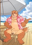 4_toes anthro balls barefoot beach belly blush brown_body brown_fur clothed clothing detailed_background feet footwear fur genitals humanoid_genitalia humanoid_hands humanoid_penis kemono male moobs musclegut muscular muscular_male navel open_clothing open_shirt open_topwear outside overweight overweight_anthro overweight_male penis seaside shirt sitting solo toes topwear water ryuta-h canid canine mammal censored hi_res