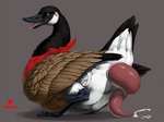 anatomically_correct anatomically_correct_genitalia anatomically_correct_penis animal_genitalia avian_butt beak big_penis black_body black_fur bodily_fluids brown_eyes cloacal_penis clothing cum cumshot detailed_feathers ejaculation erection feathered_wings feathers feral fur genital_fluids genitals grey_background huge_penis kerchief looking_back looking_pleasured male neckerchief neckwear open_beak open_mouth orgasm_face penis precum red_kerchief red_neckerchief red_penis side_view simple_background solo spiral_penis tail tail_feathers tapering_penis thick_penis tongue tongue_out vein white_body white_fur wings truegrave9 anatid anseriform anserinae avian bird canada_goose goose 2020 detailed