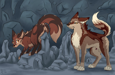animal_genitalia animal_penis animal_vulva anus balls black_nose black_vulva brown_balls brown_body brown_fur brown_tail canine_genitalia canine_penis canine_vulva duo female feral fur genitals male male/female orange_eyes penis penis_tip sheath tail vulva whiskers muskydusky canid canine canis fox mammal wolf hi_res