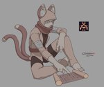 2_tails ambiguous_gender anthro belt clothed clothing footwear fully_clothed gesture hand_gesture hood looking_down multi_tail paws pointing scarf simple_background sitting socks solo stirrup_socks tail cerebropodrido domestic_cat felid feline felis mammal 2019 digital_drawing_(artwork) digital_media_(artwork) signature