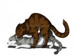 brown_body brown_fur duo female feral feral_on_feral from_behind_position fur grey_body grey_fur male male/female mounting sex simple_background tail white_background thathornycat warriors_(book_series) hawkfrost_(warriors) ivypool_(warriors) domestic_cat felid feline felis mammal tabby_cat 4:3 cel_shading digital_drawing_(artwork) digital_media_(artwork) shaded