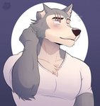 anthro blush clothing fur grey_body grey_fur hand_on_neck looking_aside looking_away male muscular muscular_anthro muscular_male scar shirt smile solo t-shirt topwear thediyemi beastars legoshi_(beastars) canid canine canis mammal wolf absurd_res hi_res icon