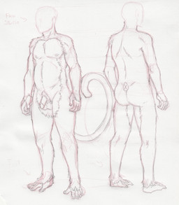 anthro balls biped butt feet fur genitals hair male nude prehensile_feet solo toes unknown_artist haplorhine mammal monkey primate hi_res model_sheet monochrome source_request