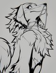 anthro chest_tuft ear_piercing floppy_ears fluffy fur grey_background lop_ears piercing simple_background solo tail tuft falvie canid canine canis domestic_dog mammal 2024 digital_media_(artwork) hi_res monochrome signature