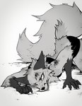 anthro blood bodily_fluids clothed clothing fluffy fluffy_tail fully_clothed fur gloves_(marking) looking_at_viewer markings midriff on_ground one_eye_closed solo tail teeth wounded falvie the_fox_(falvie) canid canine fox mammal 2024 digital_media_(artwork) hi_res monochrome