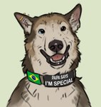 ambiguous_gender black_eyes black_nose brazil brazilian_flag collar ear_piercing feral fur green_background heterochromia looking_at_viewer male open_mouth piercing simple_background snout solo teeth text text_on_collar tongue sepulte reyes_(sepulte) canid canine canis mammal 2022 bust_portrait english_text hi_res lol_comments portrait