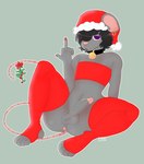 anthro anus balls circumcised clothing collar femboy genitals hat headgear headwear humanoid_genitalia leg_warmers legwear male mistletoe mistletoe_on_tail penis plant presenting solo tail crowdud3 rat_boy(crowdud3) mammal murid murine rat rodent absurd_res hi_res